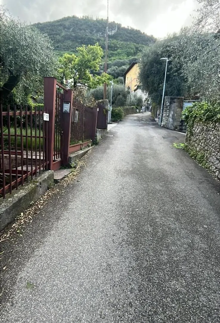 Apartment Appartamenti Estera 2 Malcesine